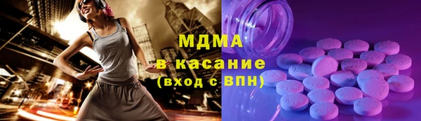 хмурый Арсеньев