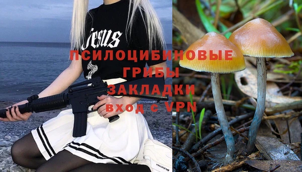 хмурый Арсеньев