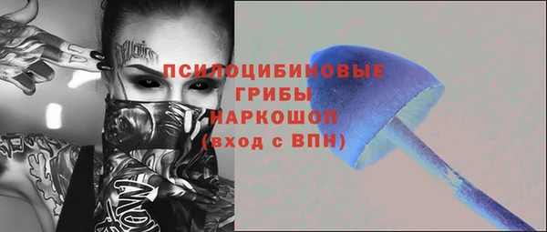 прущий лед Аркадак