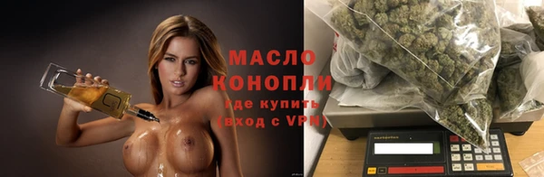 хмурый Арсеньев